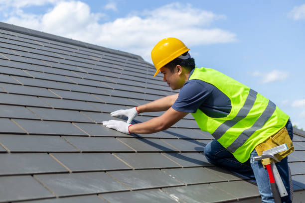 Roof Gutter Cleaning in Martha Lake, WA